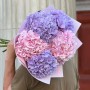 Bouquet of five hydrangeas «Romantic Dream»