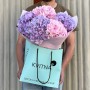 Bouquet of five hydrangeas «Romantic Dream»