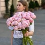 Pillow Talk Peony