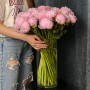 Pillow Talk Peony