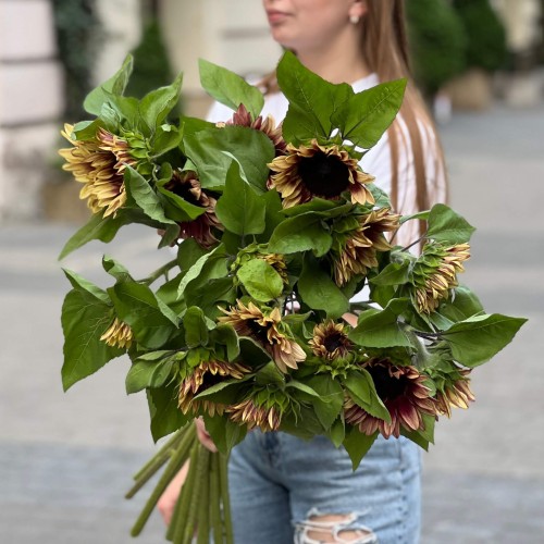 Соняшник ProCut Plum