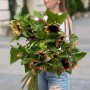 Соняшник ProCut Plum