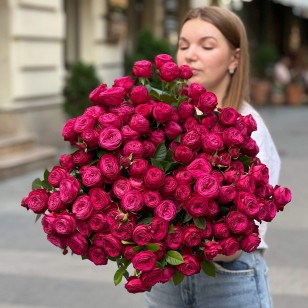 Кущова півонієвидна троянда Dima Bombastic