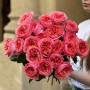 Півонієвидна троянда Candy X-Pression