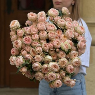 Кущова півонієвидна троянда Lady Ella