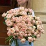 Кущова півонієвидна троянда Lady Ella