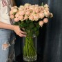 Кущова півонієвидна троянда Lady Ella