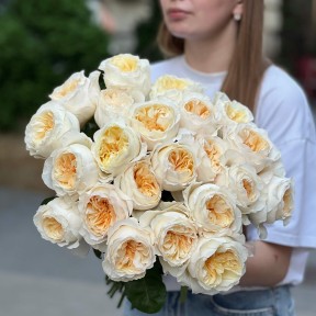 Пионовидная роза Vicky Gardens