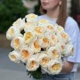 Півонієвидна троянда Vicky Gardens