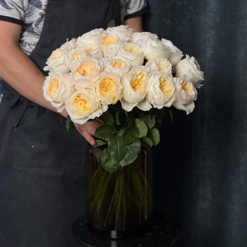 Півонієвидна троянда Vicky Gardens