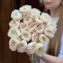 Півонієвидна троянда Chiffon