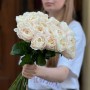 Півонієвидна троянда Chiffon
