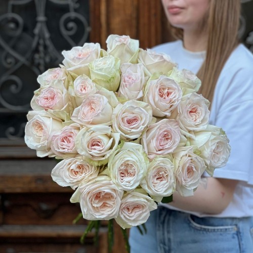 Півонієвидна троянда White O'Hara