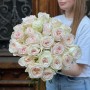 Півонієвидна троянда White O'Hara