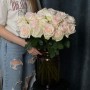 Півонієвидна троянда White O'Hara