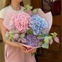 Букет из 3 роскошных эквадорских гортензий «Цветные облака»