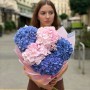 Контрастний мікс із 5 гортензій «Небесна далечінь»