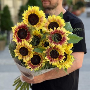13 соняшників ProCut Plum у букеті «Затишний серпень»