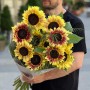 13 соняшників ProCut Plum у букеті «Затишний серпень»