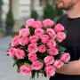 Півонієвидна троянда Queen Mayra