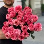 Півонієвидна троянда Pink X-Pression