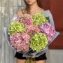 Bouquet with 7 Hydrangeas in Beautiful Shades «Lavender Mist»