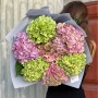 Bouquet with 7 Hydrangeas in Beautiful Shades «Lavender Mist»