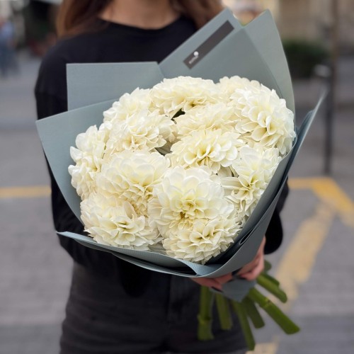 Bouquet of 13 White Perfection Dahlias «Radiant Ideal»