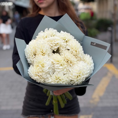 Bouquet of 13 White Perfection Dahlias «Radiant Ideal»