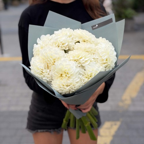 Bouquet of 13 White Perfection Dahlias «Radiant Ideal»