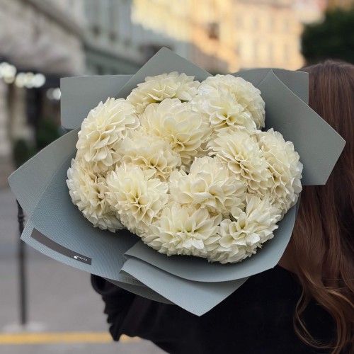 Bouquet of 13 White Perfection Dahlias «Radiant Ideal»
