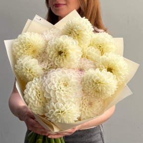 Elegant Bouquet of 15 Dahlias «Creamy Glow»