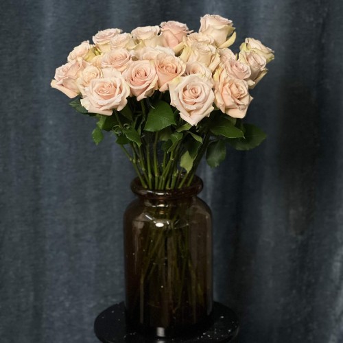 Quicksand Rose
