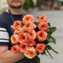 Троянда півонієвидна Melon X-Pression