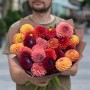 23 яскраві жоржини у букеті «Багряний сад»