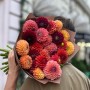 23 яскраві жоржини у букеті «Багряний сад»