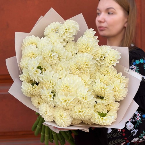 51 жоржина сорту White Perfection у букеті «Ідеальний білий»