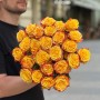 Троянда Еквадорська Мікс