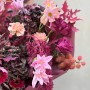 Насичений незвичний букет з амакрінумом «Таємниця Короля Артура»