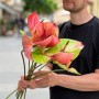 Антуріум в асортименті