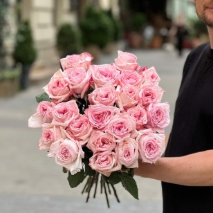 Роза пионовидная Pink O'Hara