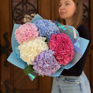Bouquet of 5 Hydrangeas «City Garden»