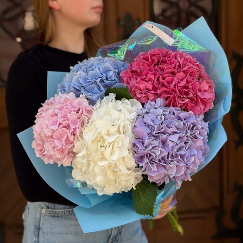 Bouquet of 5 Hydrangeas «City Garden»
