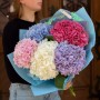 Bouquet of 5 Hydrangeas «City Garden»