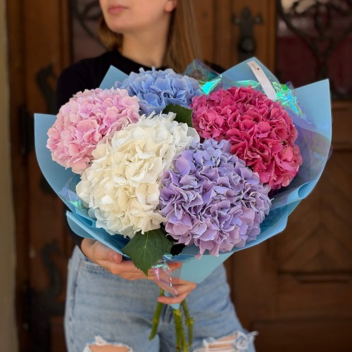 Bouquet of 5 Hydrangeas «City Garden»