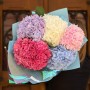 Bouquet of 5 Hydrangeas «City Garden»
