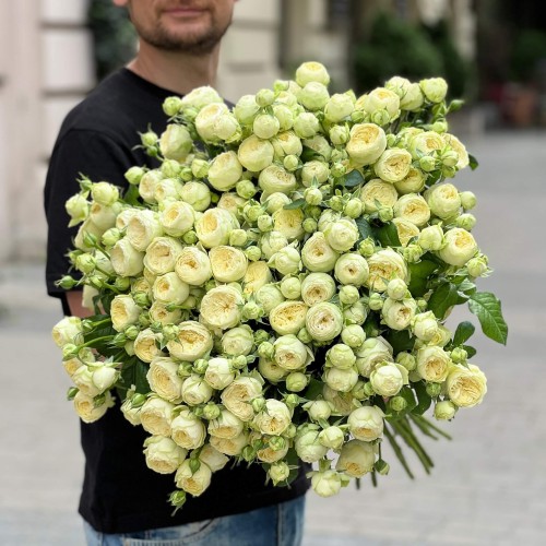 Ayala Spray Peony Rose