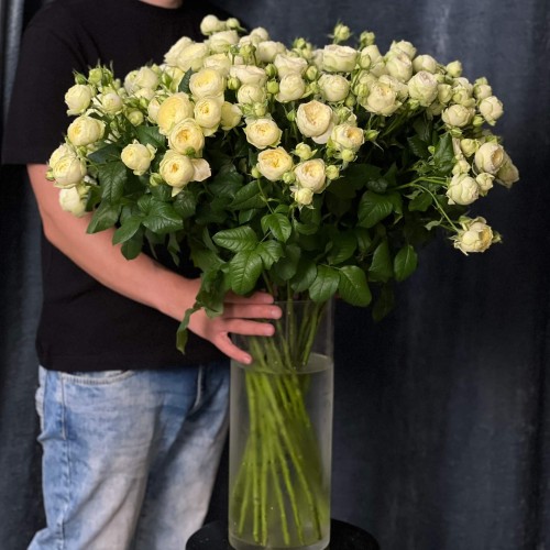 Ayala Spray Peony Rose