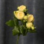 Ayala Spray Peony Rose