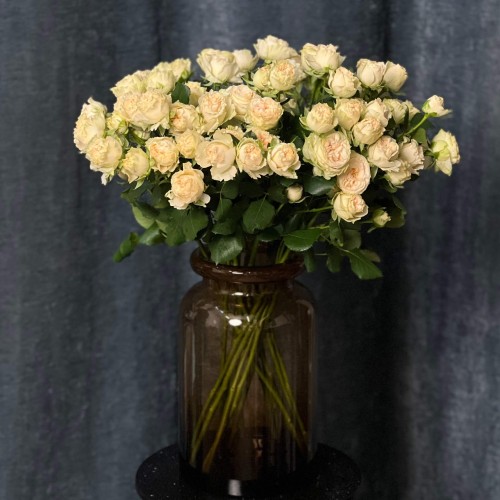 Summerrose Spray Peony Rose